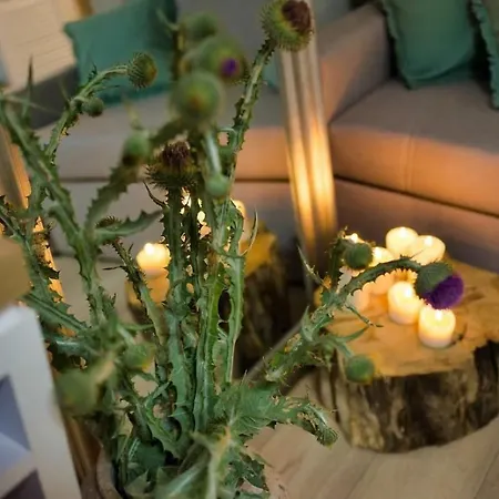 Natura Mierzei 30 - Przy Plazy 크리니차 모르스카