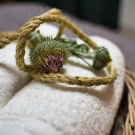 Natura Mierzei 30 - Przy Plazy 3* 크리니차 모르스카