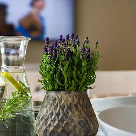 Natura Mierzei 30 - Przy Plazy Krynica Morska