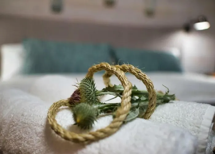 Natura Mierzei 30 - Przy Plazy 住宿加早餐酒店 库瑞尼卡慕斯卡