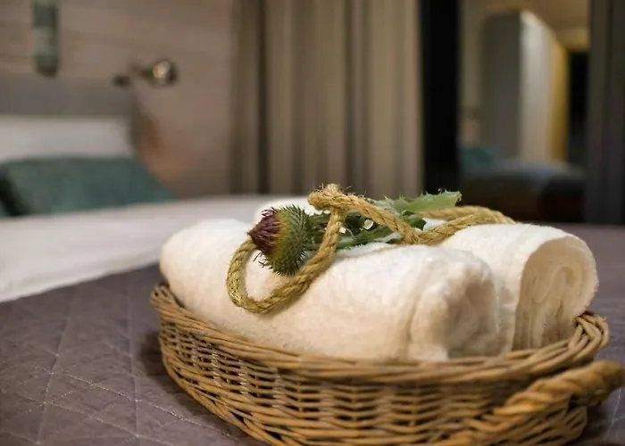 住宿加早餐酒店 Natura Mierzei 30 - Przy Plazy 库瑞尼卡慕斯卡