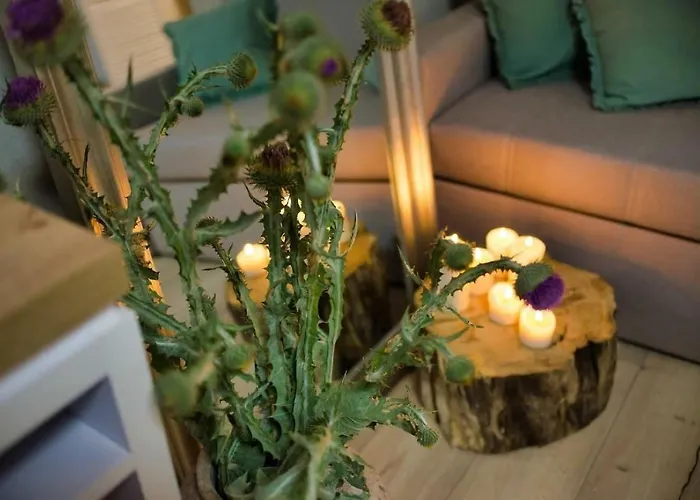 Natura Mierzei 30 - Przy Plazy Krynica Morska