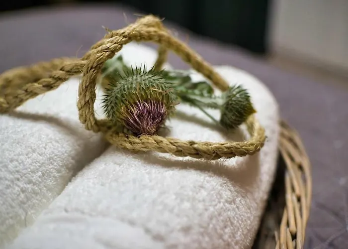 Natura Mierzei 30 - Przy Plazy 3* Krynica Morska