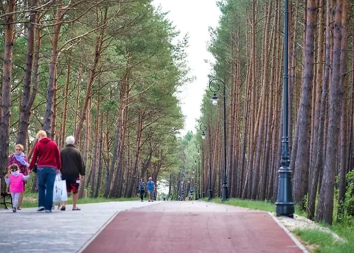 Natura Mierzei 30 - Przy Plazy